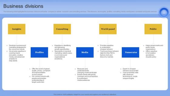 Business Divisions Data Analytics Company Outline Professional PDF