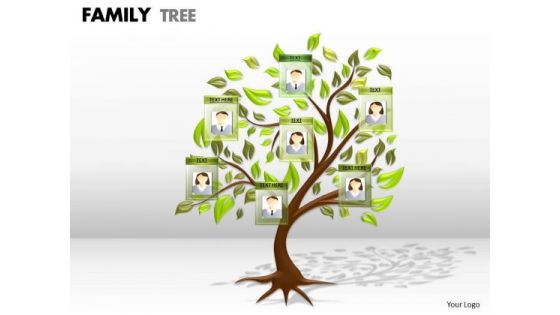 Business Finance Strategy Development Family Tree 1 Sales Diagram