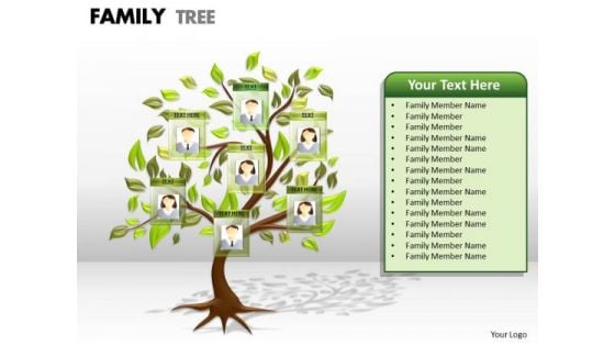 Business Finance Strategy Development Family Tree Mba Models And Frameworks