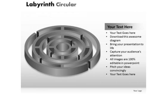 Business Finance Strategy Development Labyrinth Circular Sales Diagram