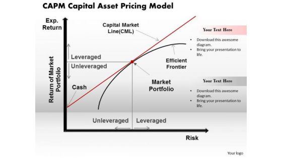 Business Framework Capm Capital Asset Pricing Model PowerPoint Presentation