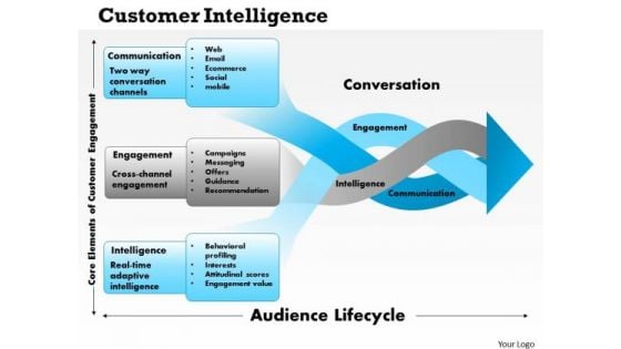 Business Framework Customer Intelligence PowerPoint Presentation