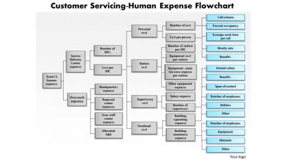 Business Framework Customer Servicing Human Expense Flowchart PowerPoint Presentation