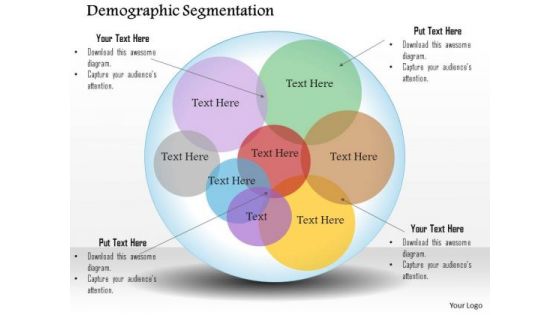 Business Framework Demographic Segmentation PowerPoint Presentation