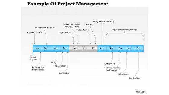 Business Framework Example Of Project Management PowerPoint Presentation