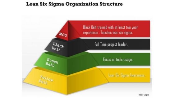 Business Framework Lean Six Sigma Organization Structure PowerPoint Presentation