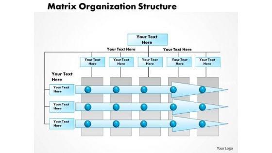 Business Framework Matrix Organization Project Management PowerPoint Presentation