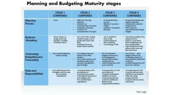 Business Framework Planning And Budgeting Maturity Stage PowerPoint Presentation