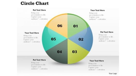 Business Framework PowerPoint Circle Diagram PowerPoint Presentation