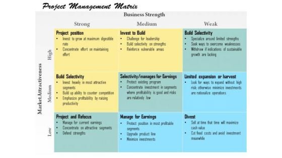 Business Framework Project Management Matrix PowerPoint Presentation