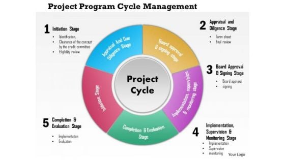 Business Framework Project Program Cycle Management PowerPoint Presentation