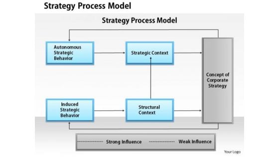 Business Framework Strategy Process Model PowerPoint Presentation