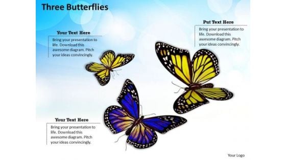 Business Integration Strategy Three Butterflies Success Images