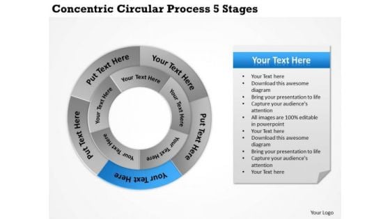 Business Level Strategy Concentric Circular Process 5 Stages Consulting