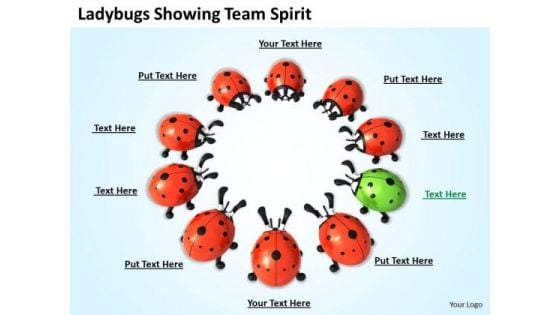 Business Level Strategy Ladybugs Showing Team Spirit Pictures Business Level Strategy Ladybugs Showing Team Spirit Pictures