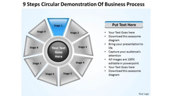 Business Model Strategy Demonstration Of Process Development