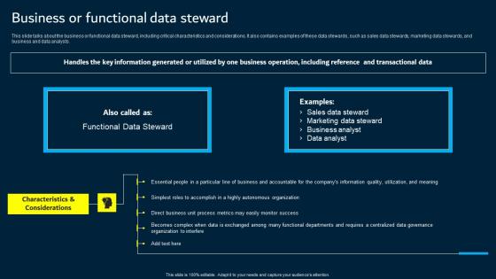 Business Or Functional Data Steward Data Custodianship Microsoft Pdf