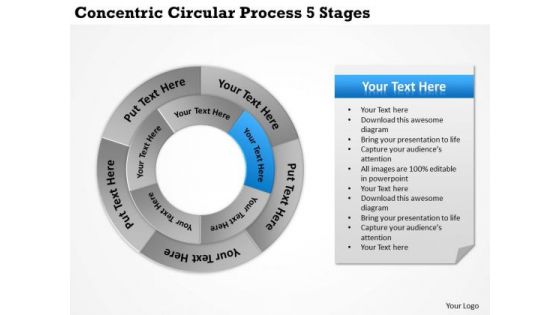 Business Plan And Strategy Concentric Circular Process 5 Stages