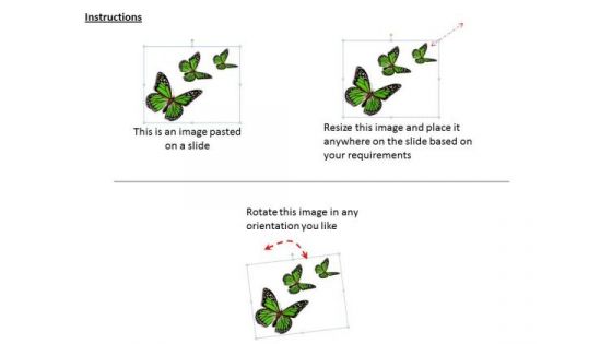 Business Plan And Strategy Three Green Butterflies Images Photos