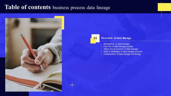 Business Process Data Lineage Table Of Contents Portrait Pdf Business Process Data Lineage Table Of Contents Portrait Pdf