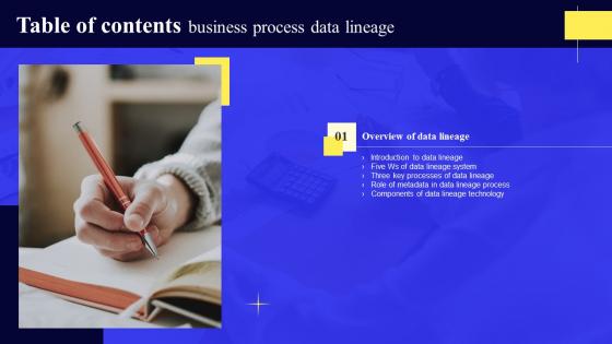 Business Process Data Lineage Table Of Contents Portrait Pdf