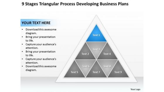 Business Process Diagram Chart Triangular Developing Plans Ppt PowerPoint Slides