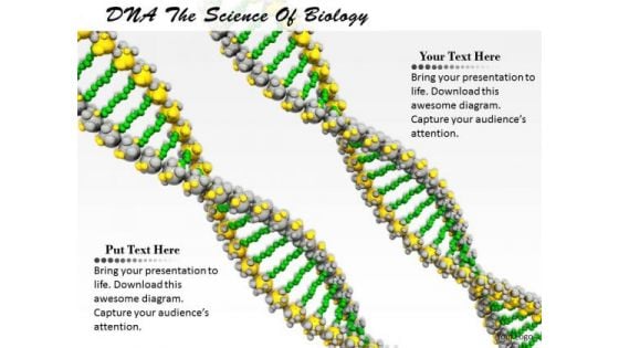 Business Process Strategy Dna The Science Of Biology Images