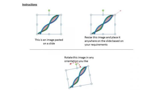 Business Strategy Consultant Dna Growth Of Replication Pictures Images