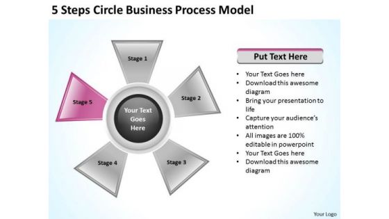 Business Strategy Consultants 5 Steps Circle Process Model Plan