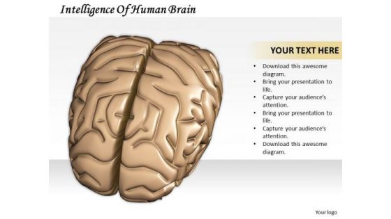 Business Strategy Development Intelligence Of Human Brain Images And Graphics