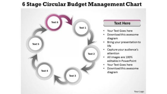 Business Strategy Development Stage Circular Budget Management Chart Ppt Model