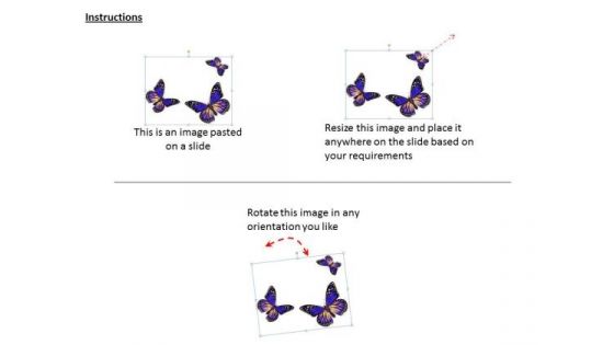 Business Strategy Model Three Purple Butterflies Icons