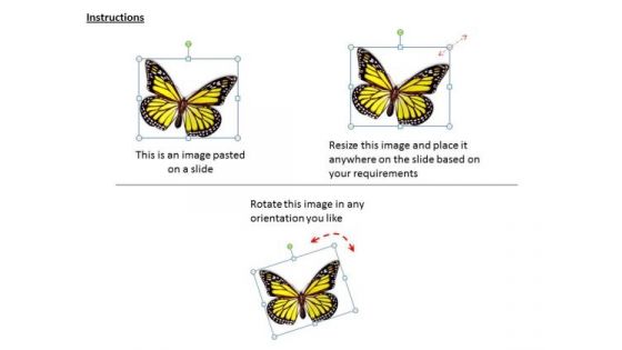 Business Strategy Process 3d Render Of Yellow Butterfly Icons Images