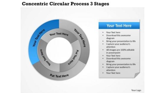 Business Strategy Review Concentric Circular Process 3 Stages Ppt Level