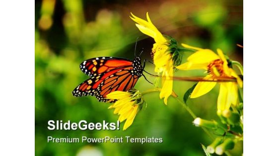 Butterfly And Bee Animals PowerPoint Templates And PowerPoint Backgrounds 0111