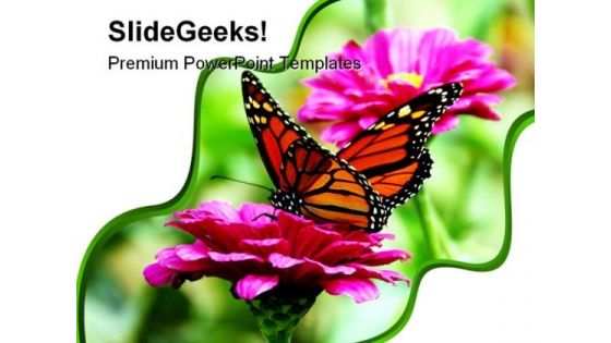 Butterfly And Flower Animals PowerPoint Templates And PowerPoint Backgrounds 0211