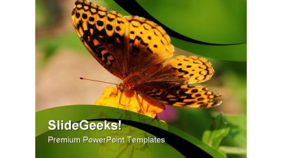 Butterfly And Sunflower Animals PowerPoint Themes And PowerPoint Slides 0211 Butterfly And Sunflower Animals PowerPoint Themes And PowerPoint Slides 0211