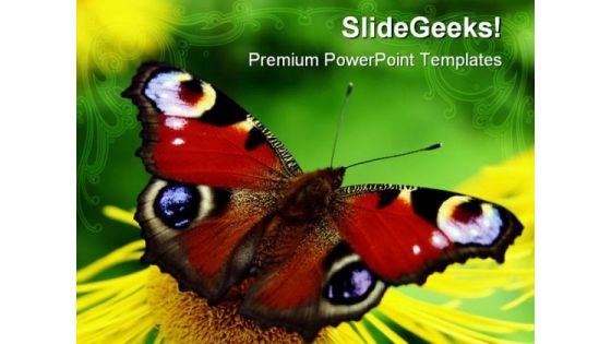 Butterfly Animals PowerPoint Templates And PowerPoint Backgrounds 0211