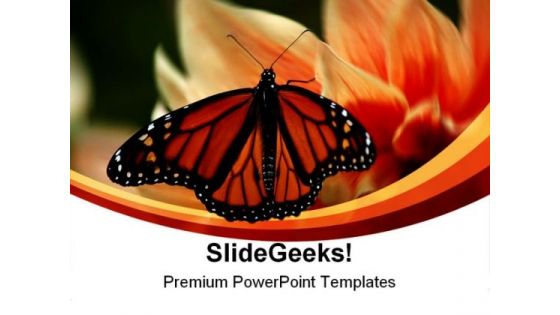 Butterfly Beauty Nature PowerPoint Templates And PowerPoint Backgrounds 0211