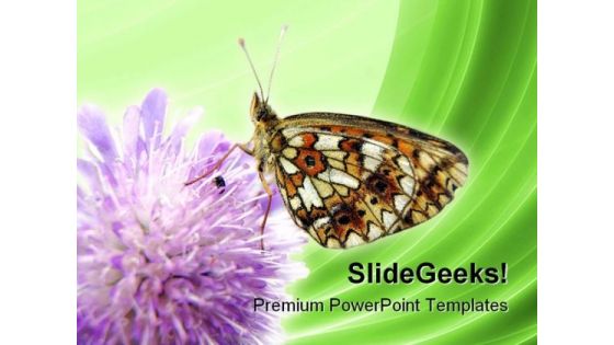 Butterfly Insect Nature PowerPoint Templates And PowerPoint Backgrounds 0211