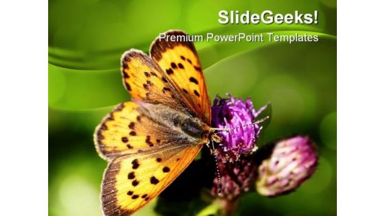 Butterfly Nature PowerPoint Templates And PowerPoint Backgrounds 0211