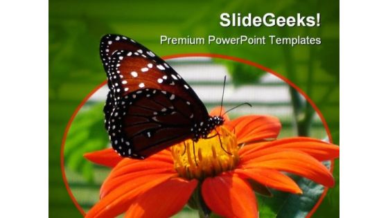 Butterfly On Flower Animal PowerPoint Template 0810