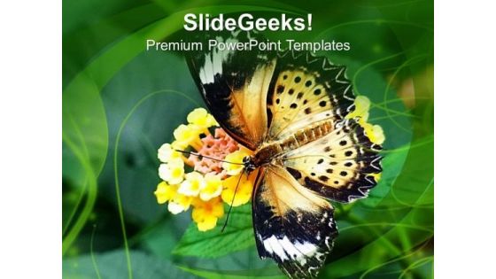 Butterfly On Flower Background Nature Theme PowerPoint Templates Ppt Backgrounds For Slides 0613