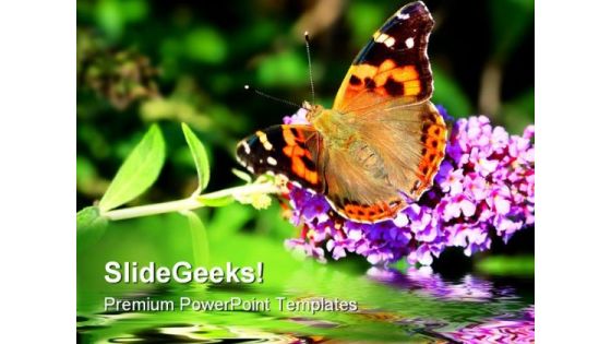 Butterfly On Flower Beauty PowerPoint Templates And PowerPoint Backgrounds 0211