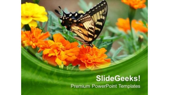 Butterfly On Flowers Background PowerPoint Templates Ppt Backgrounds For Slides 0613