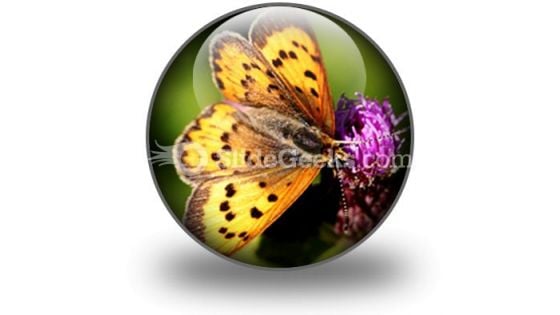 Butterfly PowerPoint Icon C