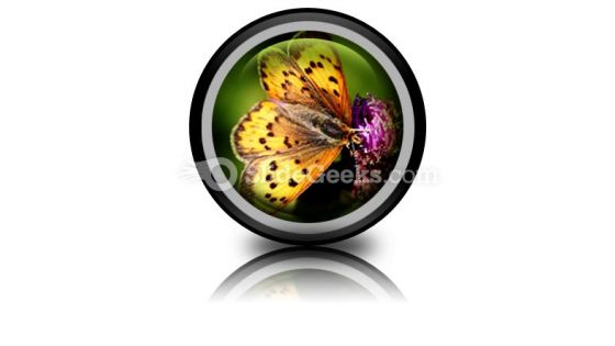 Butterfly PowerPoint Icon Cc