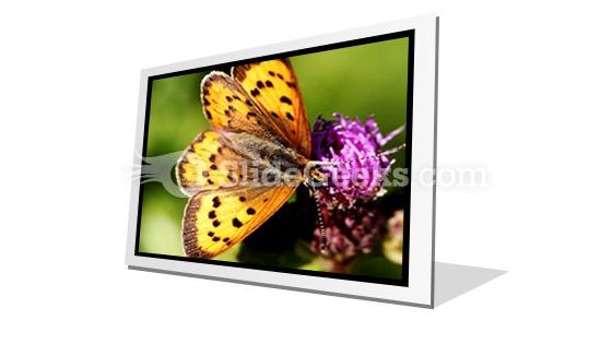Butterfly PowerPoint Icon F Butterfly PowerPoint Icon F