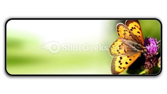 Butterfly PowerPoint Icon R