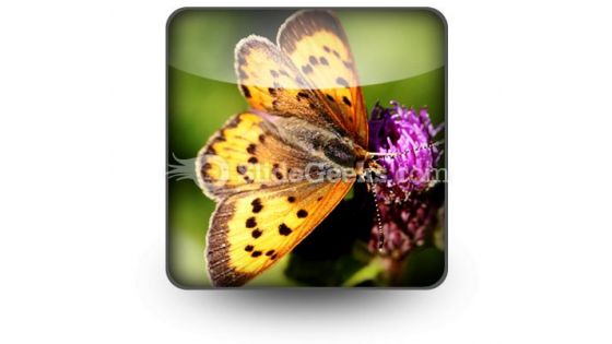 Butterfly PowerPoint Icon S